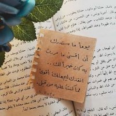 Nourhan Saleh