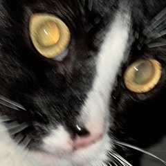 CheapStars.Soundeffect