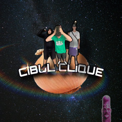 CIBULKAR$
