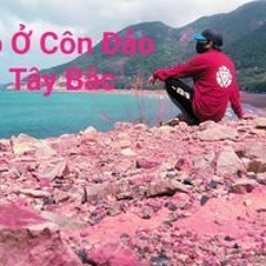 Trần Vũ Hảo