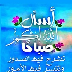 Hesham Faiz