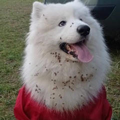 Ярослав Алдошин