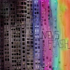theNewsflash