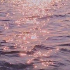 هشام عباس معاه