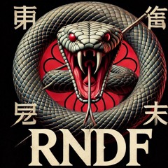 RNDF Records 🐍