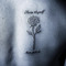 The.Butterfly.King