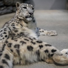 fadfadghafhqrfkafjdkl;nafl;k