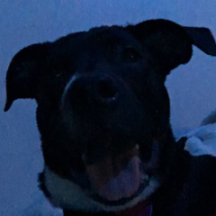 em