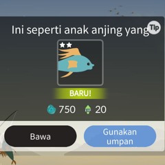 i have no motivation type beet