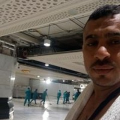 محمد فوزى أبو الخير
