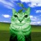 zazu the cat�̷̢̧̡̡̡̢̨̨̨̨̨̨̨̨̨̨̨̨̨̨̨̨̨̨̨̨̨̨̨̨̨̨̨̨̨̨