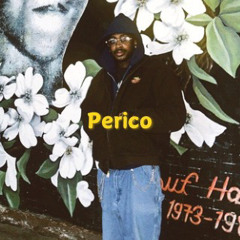 Perico Corleone