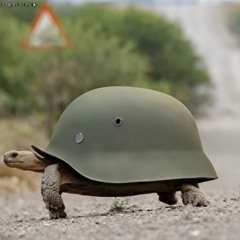 Gaomat