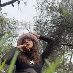 Palacio⋆｡⛫⋆✴︎˚｡⋆