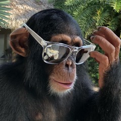 The Monkey