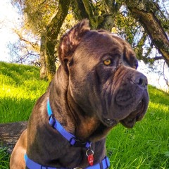 Kim alabim User 936246133