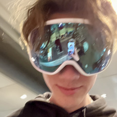 BL3SS