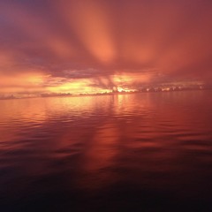 Twøfhørê Øwhêyt Vîbëß✨🎶