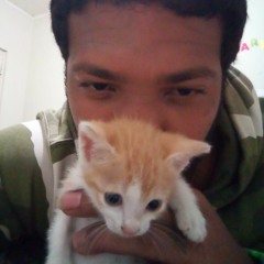 chino y gatita