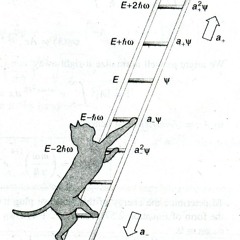Experiments in Repetition