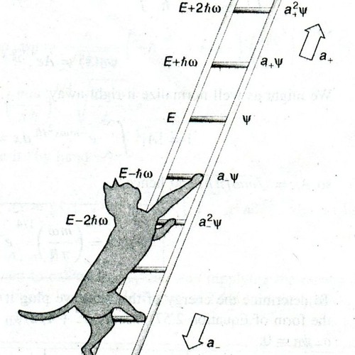 Experiments in Repetition