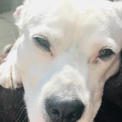 User 928133070 matt baker