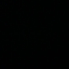 scisneros_123