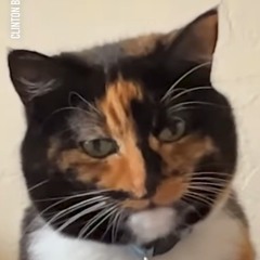 Soni