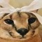 sampson