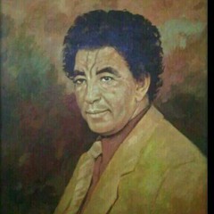 محمد النصري  الحزن النبيل