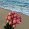 Noor _adel