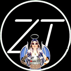 ZT HERTZ