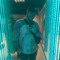 Stado