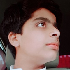 Muhammad Ali Jan