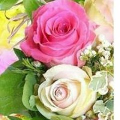نور الله