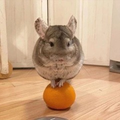 люба дрель