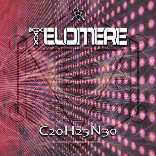 Telomere’s avatar