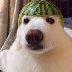 PrimPose