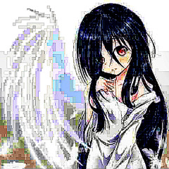 kota_wa