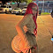 ITSSEXYYY