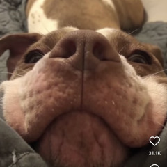 lewdicy