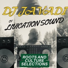 javadi music