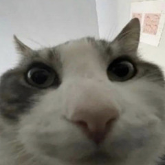 styczynek