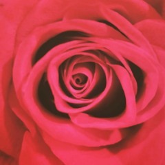 DAE.DRI'AMOR