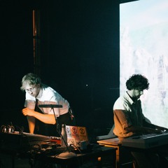 Sing The Body Electronic