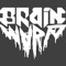 Brain Wvrp