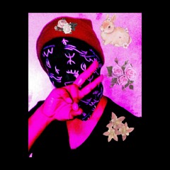 M a g i c    R a v e n