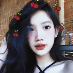 Dinh Thi Ha My