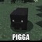 Pigga