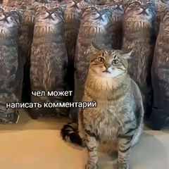 БРО ТИ ЛУЧШИЙ